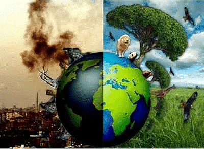 Shankar IAS Summary: Environmental Impact Assessment - 3 | Famous Books for UPSC Exam (Summary & Tests)