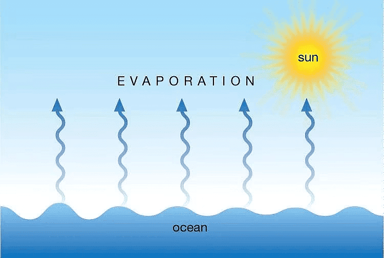 NCERT Summary: Matter in our surroundings | Science & Technology for UPSC CSE