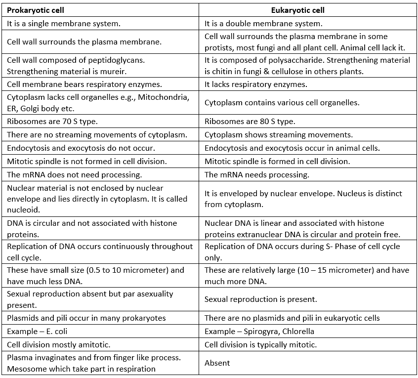 NCERT Summary: Cell: The Unit of Life | Science & Technology for UPSC CSE