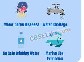 NCERT Summary: Environmental Issues | Geography for UPSC CSE