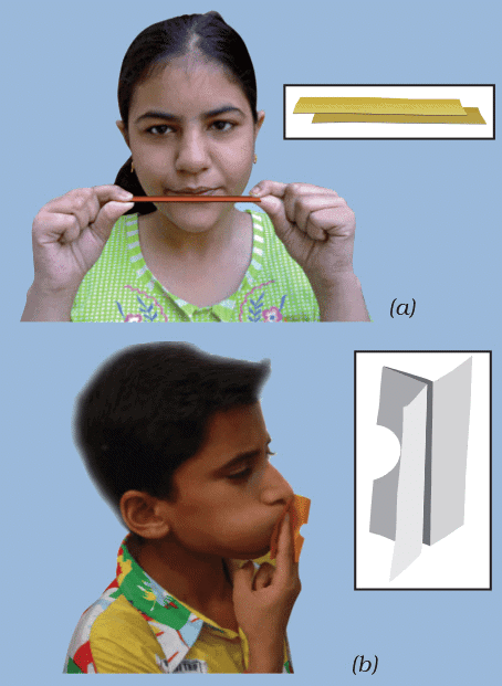 NCERT Summary: Sound | Science & Technology for UPSC CSE