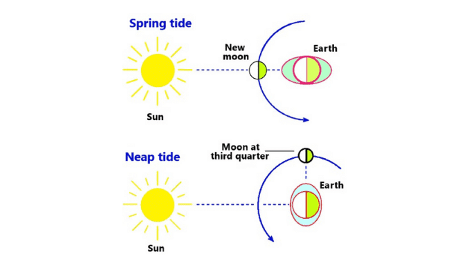 NCERT Summary: Movements of Ocean Water | Geography for UPSC CSE