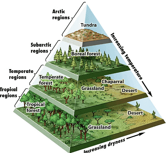 Shankar IAS Summary: Indian Forest | Famous Books for UPSC Exam (Summary & Tests)