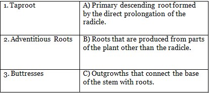 Shankar IAS MCQs: Plant Diversity of India | Famous Books for UPSC Exam (Summary & Tests)