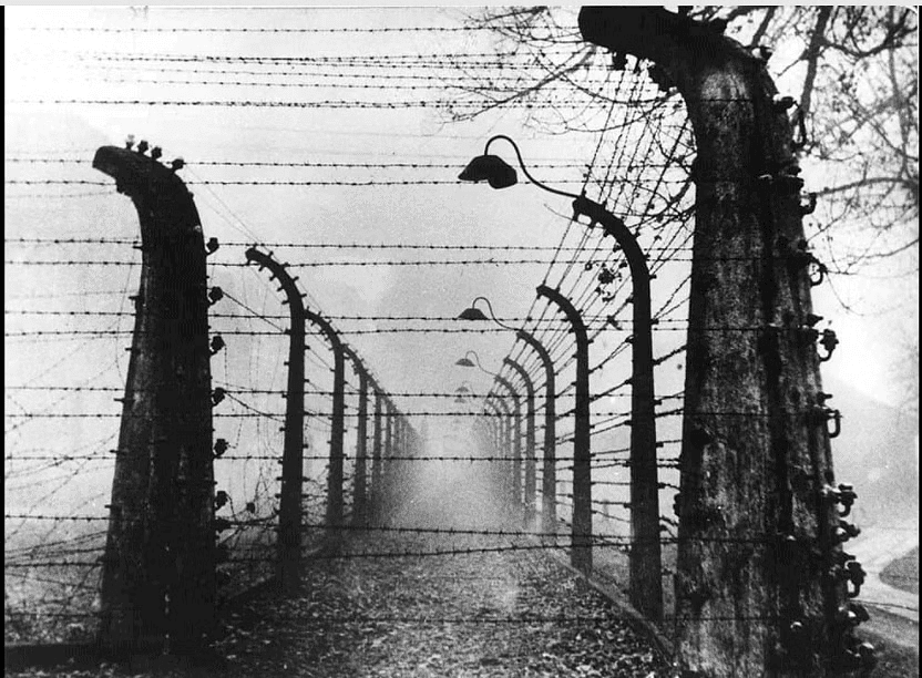 NCERT Summary: Nazism and the Rise of Hitler (Class 9) | History for UPSC CSE