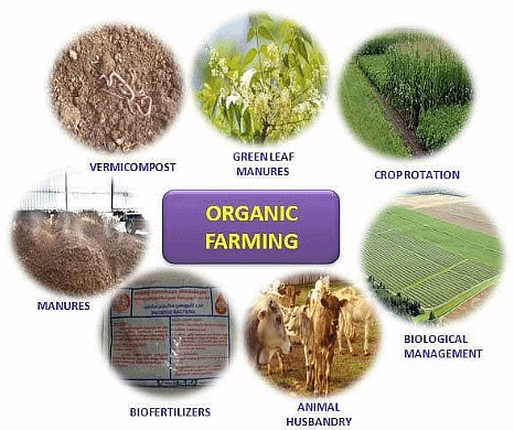 Shankar IAS Summary: Agriculture | Famous Books for UPSC Exam (Summary & Tests)