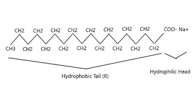 NCERT Summary: Carbon & Its Compounds | Science & Technology for UPSC CSE