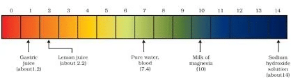NCERT Summary: Acids, Bases & Salts | Science & Technology for UPSC CSE