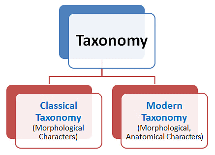 NCERT Summary: Taxonomy: Identification, Nomenclature & Classification | Science & Technology for UPSC CSE