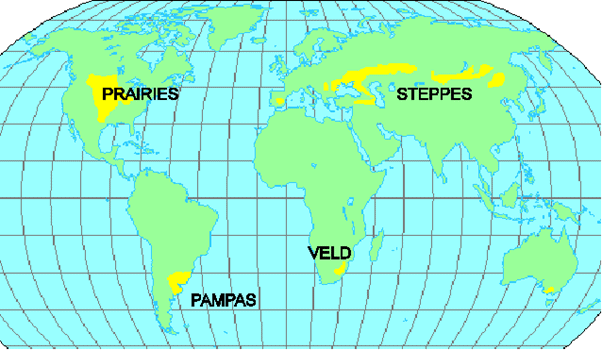 Grasslands of the World | Geography for UPSC CSE