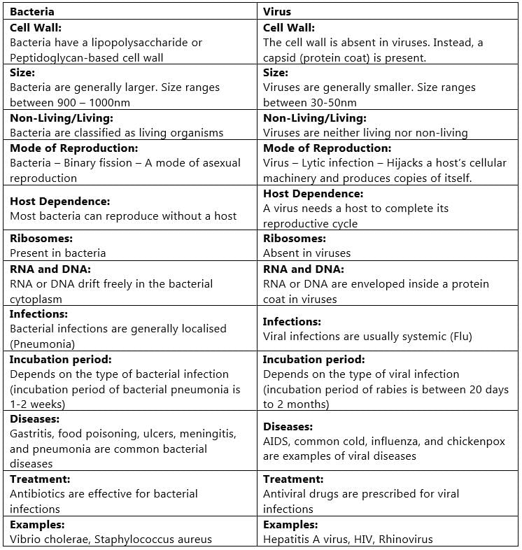 Bacteria, Virus, Algae, Fungi & Lichens | Science & Technology for UPSC CSE