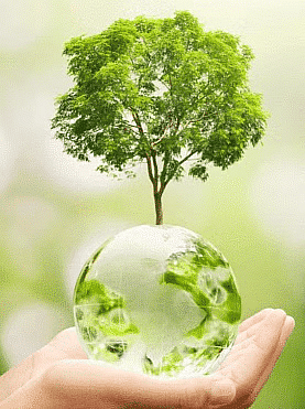 Shankar IAS Summary: Environmental Impact Assessment - 3 | Famous Books for UPSC Exam (Summary & Tests)