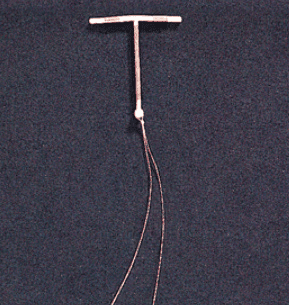NCERT Summary: Reproductive Health | Science & Technology for UPSC CSE