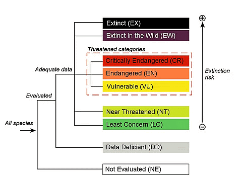 Shankar IAS Summary: Biodiversity- 2 | Famous Books for UPSC Exam (Summary & Tests)