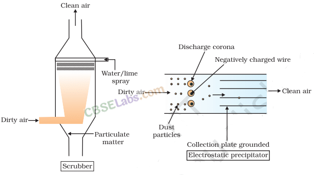 NCERT Summary: Environmental Issues | Geography for UPSC CSE