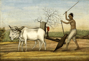 Farming