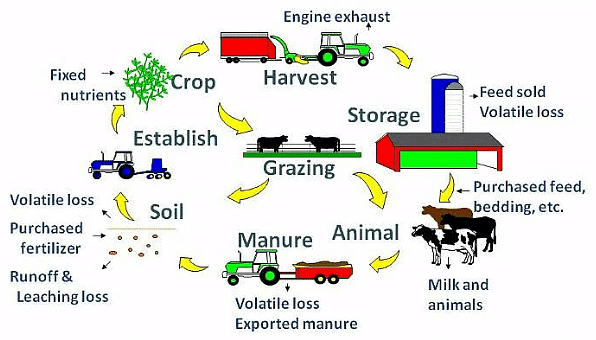 Shankar IAS Summary: Agriculture | Famous Books for UPSC Exam (Summary & Tests)