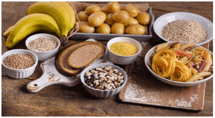 Nutrition, Digestion | Science & Technology for State PSC Exams - BPSC (Bihar)
