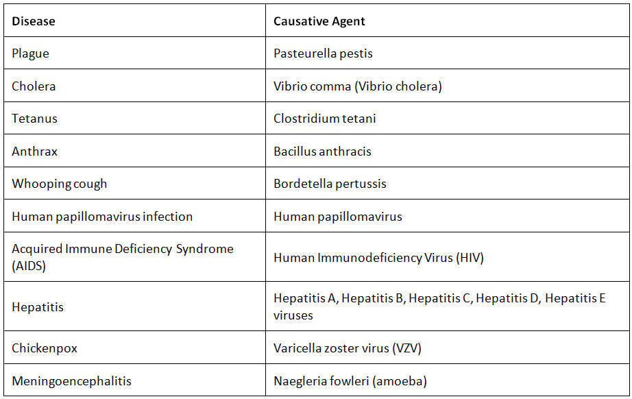 Diseases – Zoonotic, Hereditary, Protozoan, Viral & Bacterial | Science & Technology for UPSC CSE