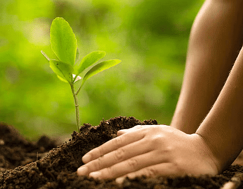 Shankar IAS Summary: Indian Forest | Famous Books for UPSC Exam (Summary & Tests)