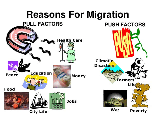 NCERT Summary: Population | Geography for UPSC CSE