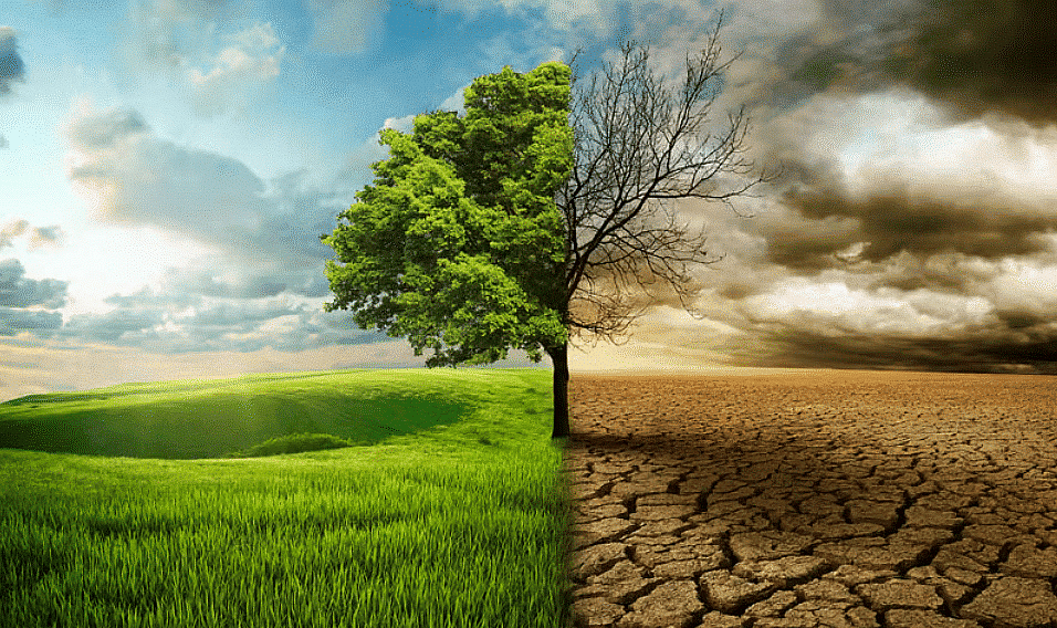 Shankar IAS Summary: Environmental Impact Assessment - 3 | Famous Books for UPSC Exam (Summary & Tests)