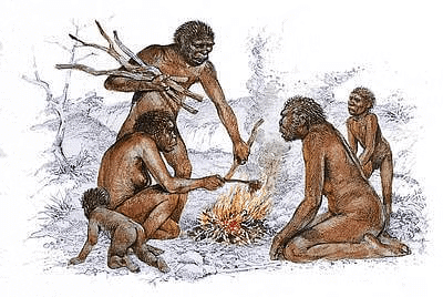 NCERT Summary: From Hunting-Gathering to Growing Food (Class 6) | History for UPSC CSE
