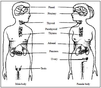 NCERT Summary: Summary of Biology - 3 | Science & Technology for UPSC CSE