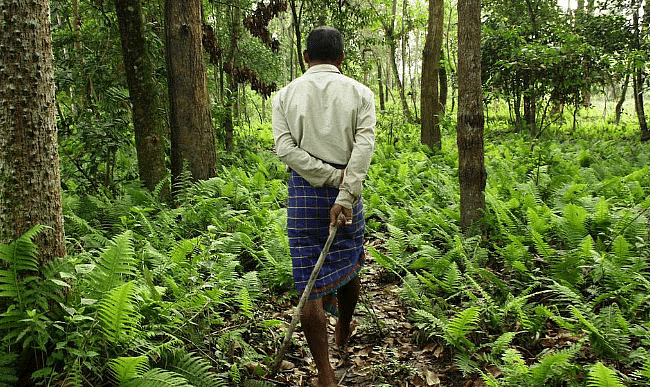 Shankar IAS Summary: Indian Forest | Famous Books for UPSC Exam (Summary & Tests)