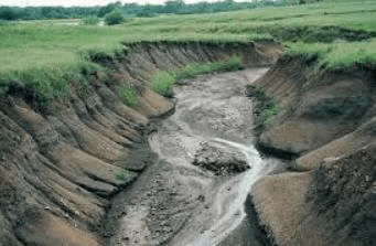 पानी से मिट्टी का कटाव