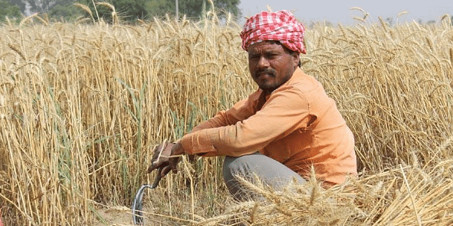 Farmers’ Suicides in India- Reasons and Responses | Indian Society for UPSC CSE