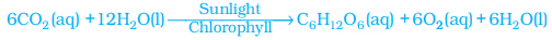 NCERT Summary: Chemical Reactions & Equations | Science & Technology for UPSC CSE
