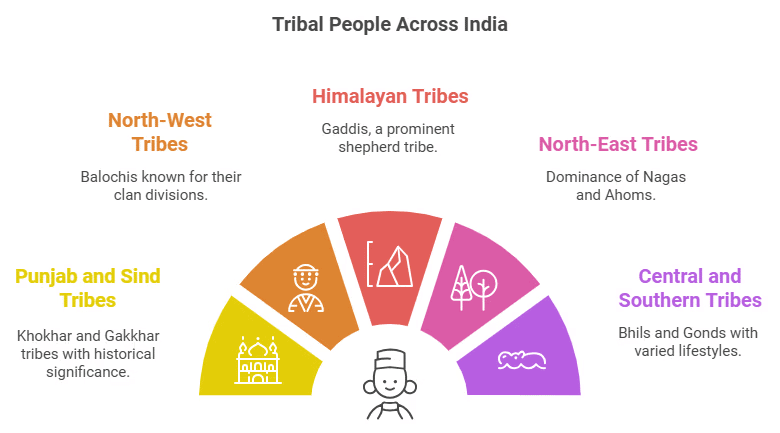 NCERT Summary: Tribes, Nomads and Settled Communities (Class 7) | History for UPSC CSE