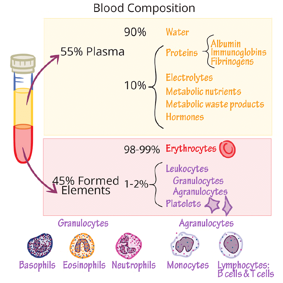 NCERT Summary: Body Fluids & Circulation | Science & Technology for UPSC CSE