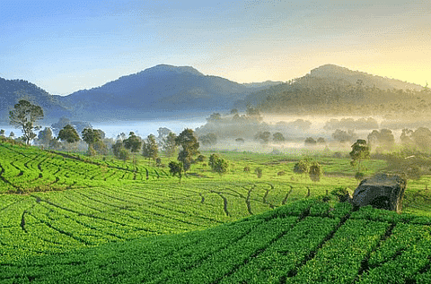 Shankar IAS Summary: Indian Forest | Famous Books for UPSC Exam (Summary & Tests)