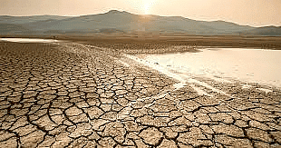 Desertification