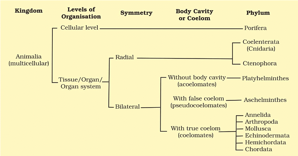NCERT सारांश: पशु जगत | विज्ञान और प्रौद्योगिकी (Science & Technology) for UPSC CSE
