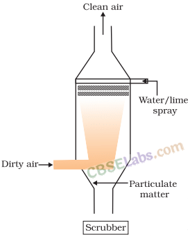 NCERT Summary: Environmental Issues | Geography for UPSC CSE