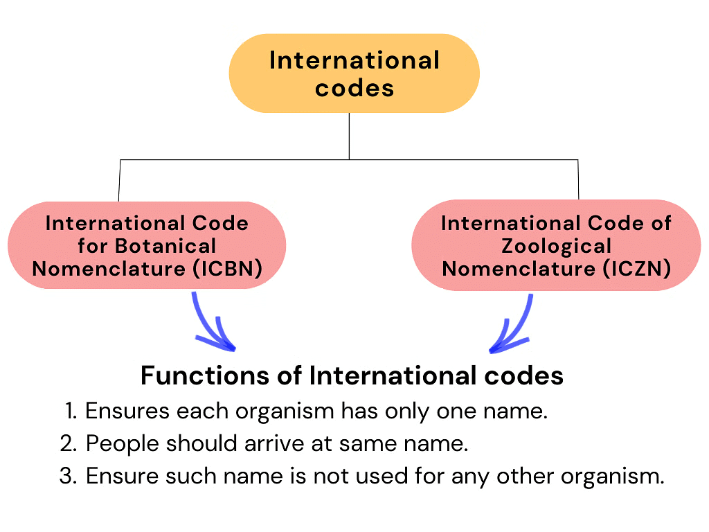 NCERT Summary: Taxonomy: Identification, Nomenclature & Classification | Science & Technology for UPSC CSE