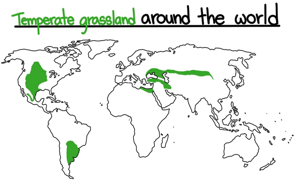 Temperate Grasslands of the World
