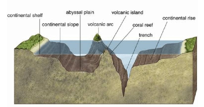 Ocean Relief Features | Geography for UPSC CSE