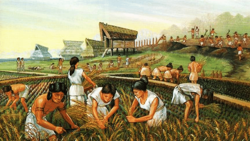 The Transition to Food Production: Neolithic– Chalcolithic, and Chalcolithic Villages - 1 | History for UPSC CSE