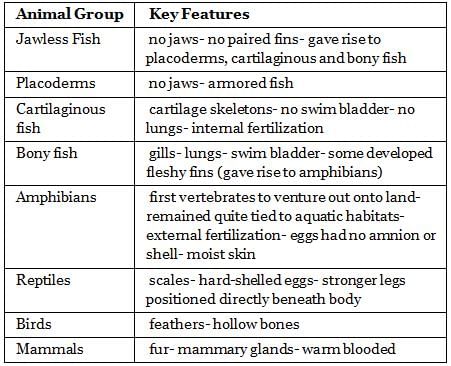 NCERT Summary: Summary of Biology - 10 | Science & Technology for UPSC CSE