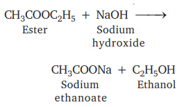 NCERT Summary: Carbon & Its Compounds | Science & Technology for UPSC CSE