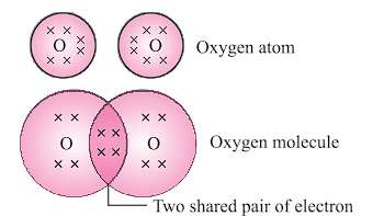 NCERT Summary: Carbon & Its Compounds | Science & Technology for UPSC CSE