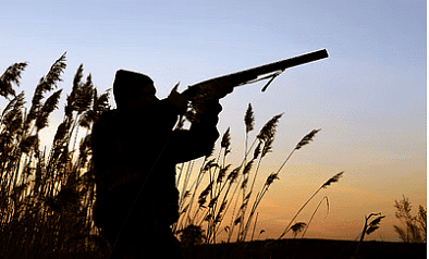 Hunting