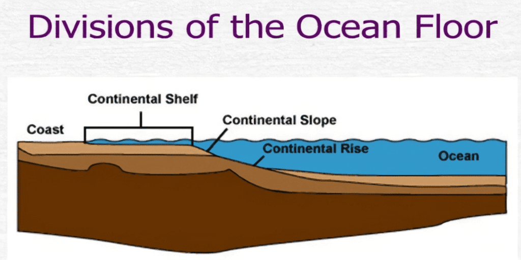 NCERT Summary: Water(Oceans) | Geography for UPSC CSE
