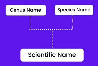 NCERT Summary: Taxonomy: Identification, Nomenclature & Classification | Science & Technology for UPSC CSE