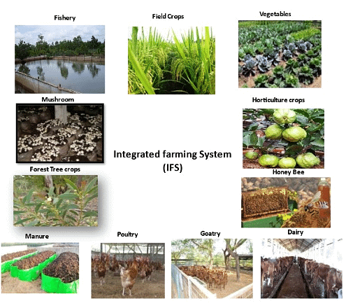 Shankar IAS Summary: Agriculture | Famous Books for UPSC Exam (Summary & Tests)