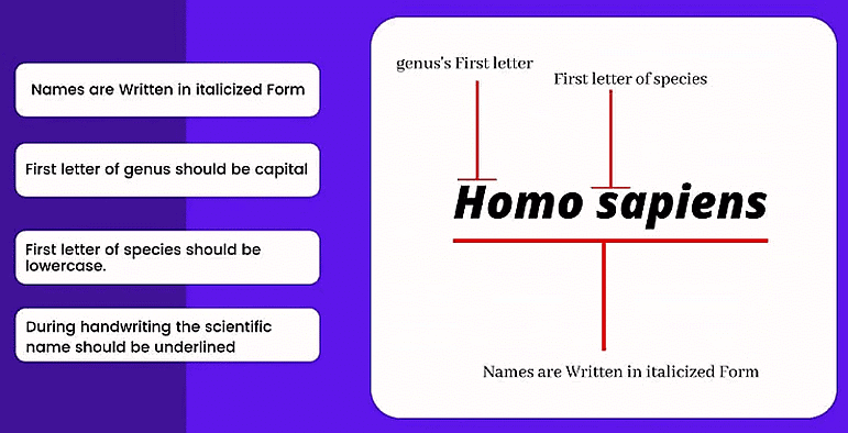 NCERT Summary: Taxonomy: Identification, Nomenclature & Classification | Science & Technology for UPSC CSE
